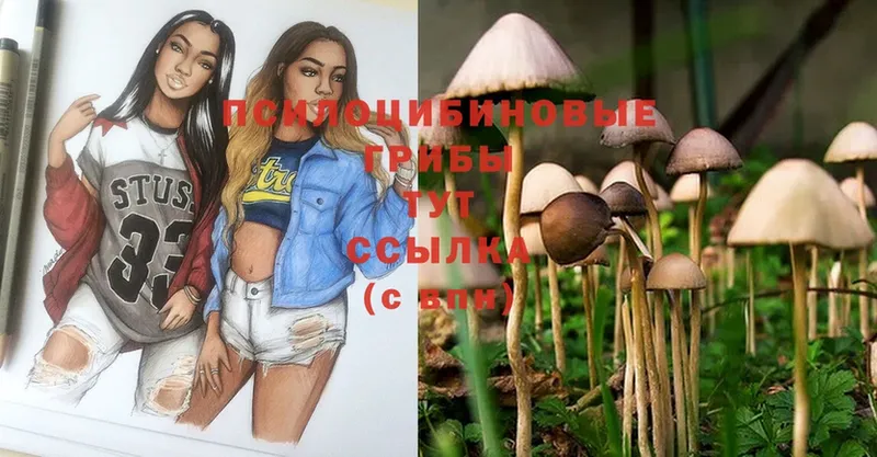 гидра   Киреевск  Галлюциногенные грибы Psilocybe 